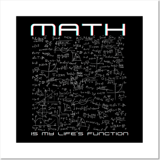 Math is my life's function Posters and Art